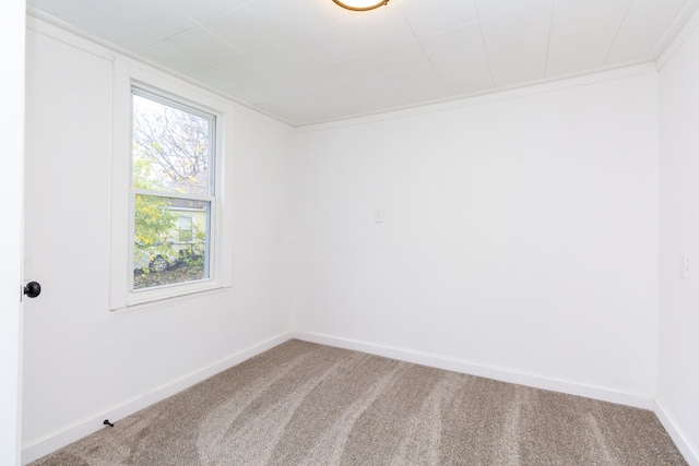 carpeted empty room featuring crown molding