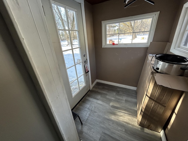 entryway featuring wood-type flooring