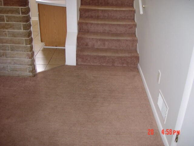 stairs featuring carpet flooring