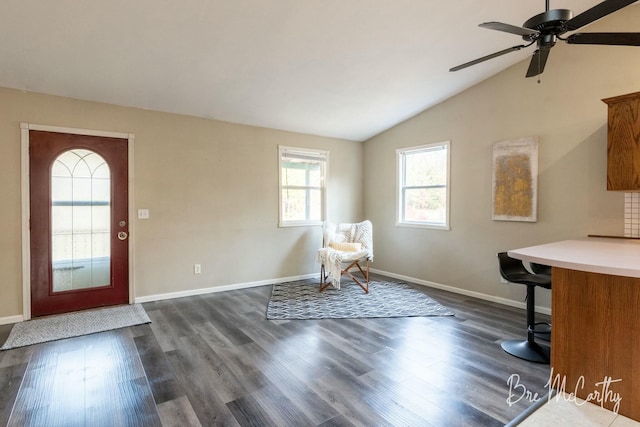 foyer featuring vaulted ceiling, ceiling fan, and dark hardwood / wood-style floors