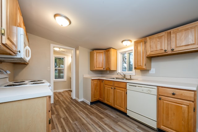 kitchen with dark hardwood / wood-style flooring, white appliances, and sink