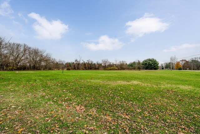 view of yard with a rural view