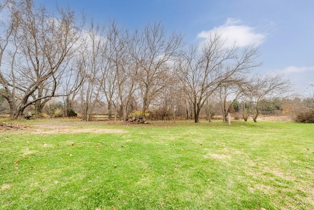 view of yard with a rural view