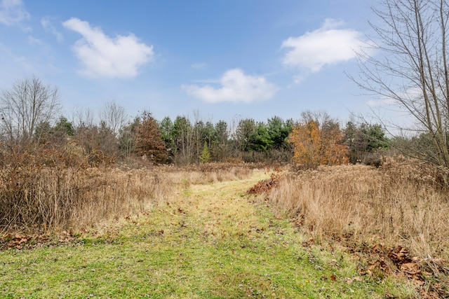 view of landscape