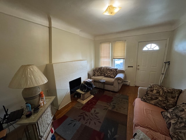 living room with hardwood / wood-style flooring and a baseboard radiator