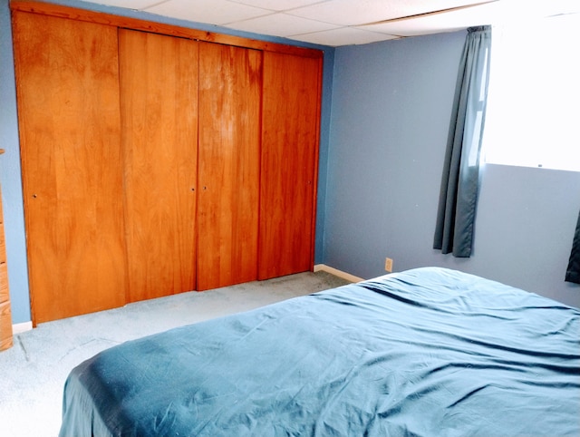 carpeted bedroom with a paneled ceiling and a closet