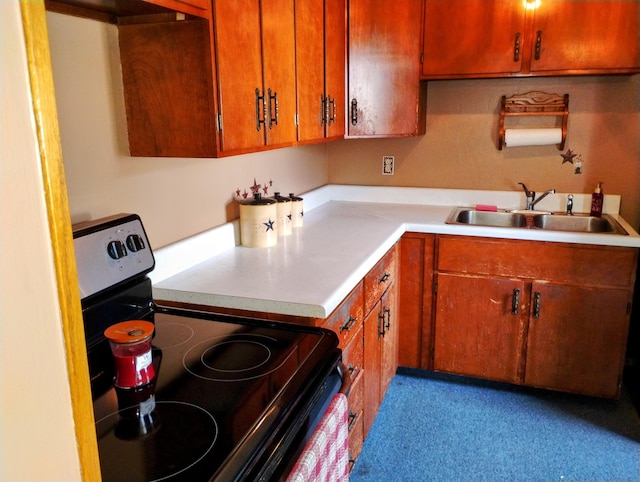 kitchen featuring electric range and sink