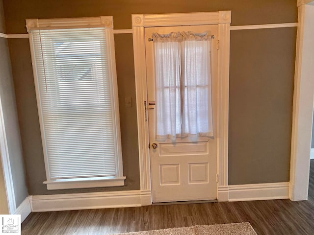 doorway featuring plenty of natural light and dark hardwood / wood-style floors