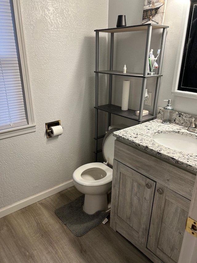 bathroom featuring hardwood / wood-style floors, vanity, and toilet