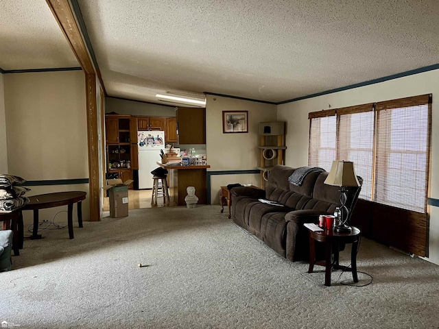 carpeted living room with ornamental molding, a textured ceiling, and lofted ceiling