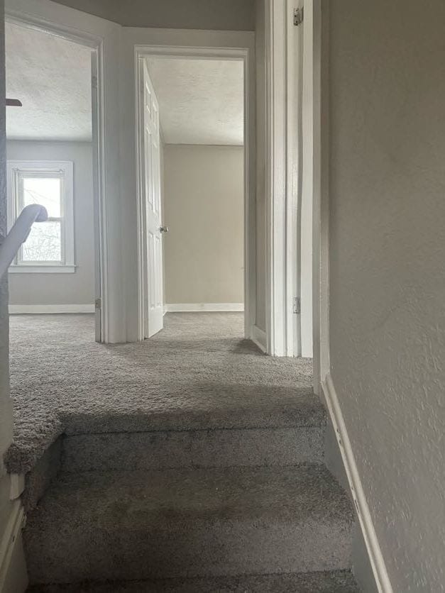 stairway with carpet flooring and a textured ceiling