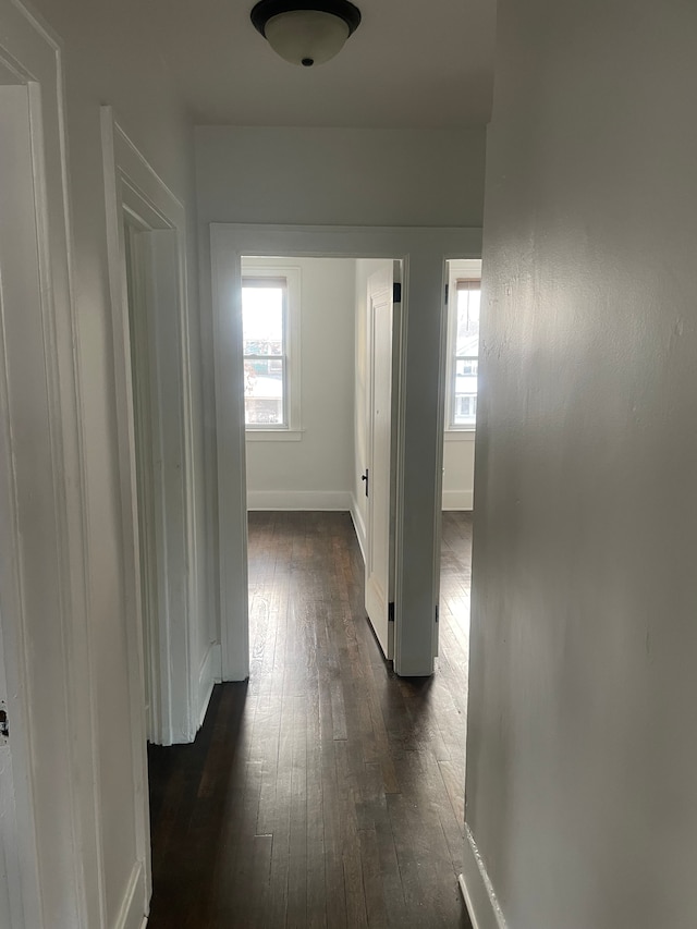 hallway featuring dark wood-type flooring