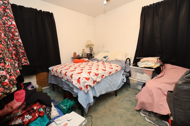 bedroom with carpet floors