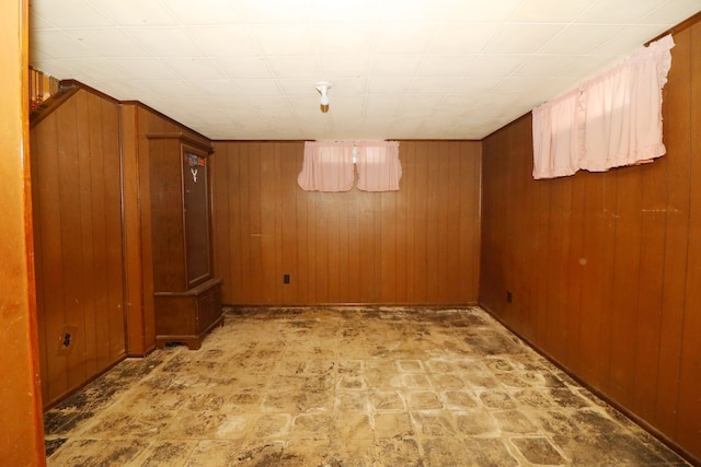 basement with wood walls