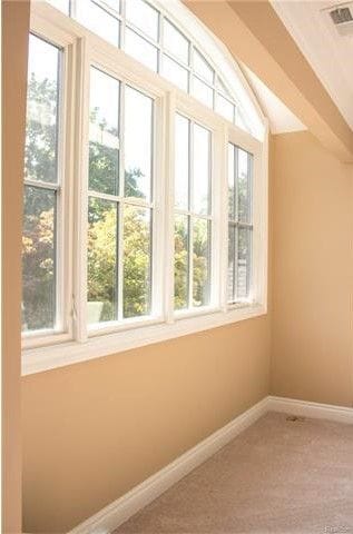 bonus room featuring carpet floors