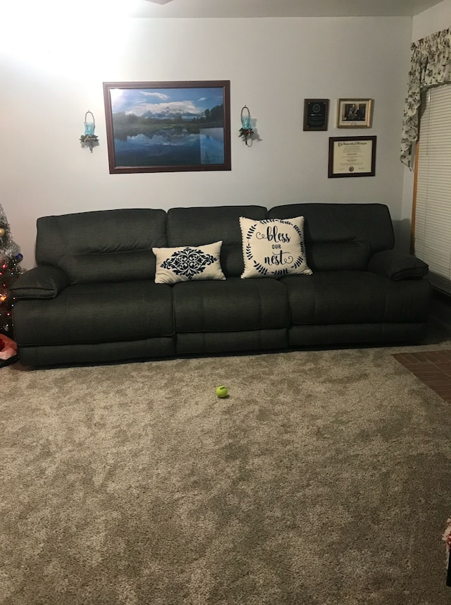 living room featuring carpet floors