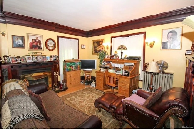 living room with hardwood / wood-style flooring, radiator heating unit, and ornamental molding