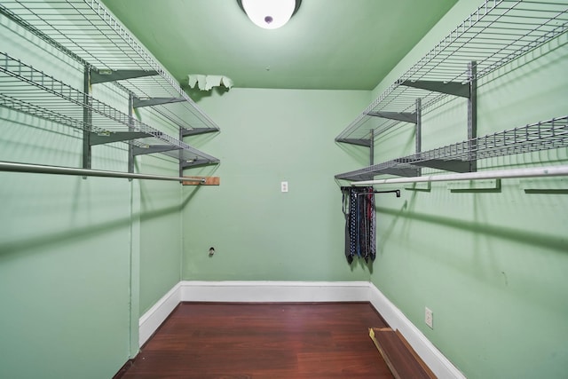 walk in closet with dark hardwood / wood-style floors