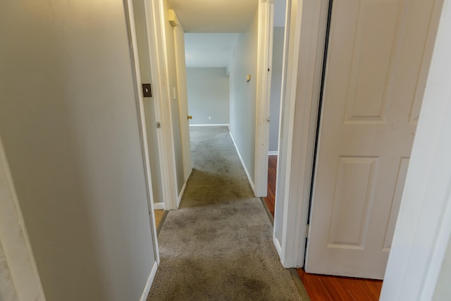 hall featuring light carpet