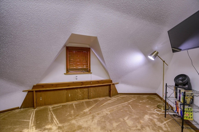 additional living space with carpet flooring and a textured ceiling