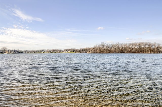 property view of water