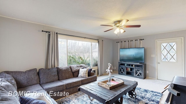 carpeted living room with plenty of natural light, ceiling fan, and ornamental molding