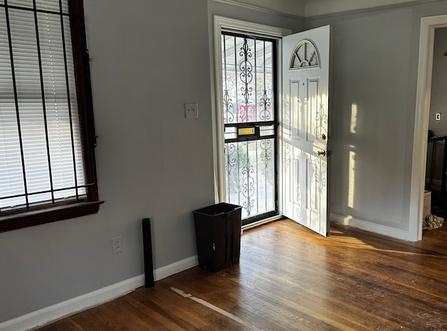 foyer entrance with hardwood / wood-style flooring