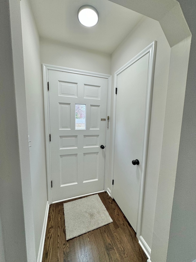 entryway featuring dark wood-type flooring