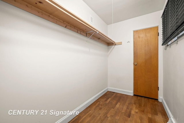 spacious closet featuring dark hardwood / wood-style flooring