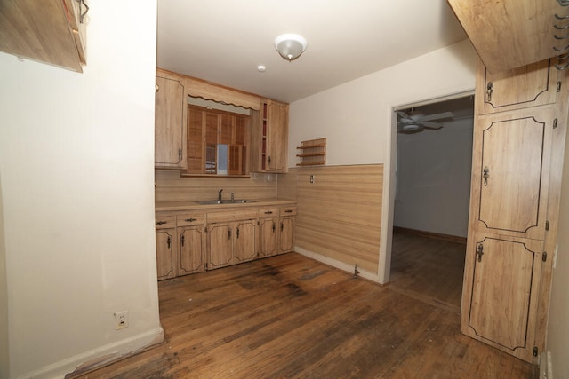 kitchen featuring sink, dark wood-type flooring, and light brown cabinetry