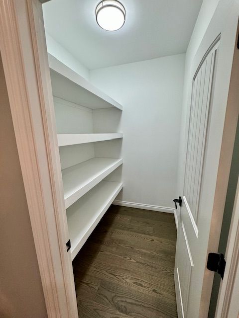 walk in closet with dark hardwood / wood-style flooring