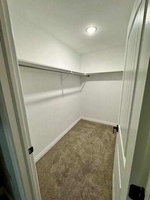 spacious closet with dark colored carpet