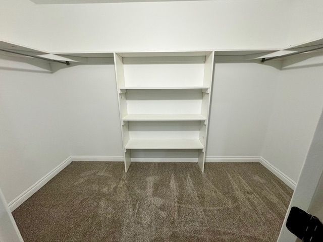 walk in closet with dark colored carpet