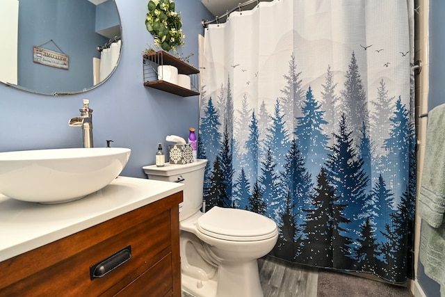 bathroom featuring vanity, hardwood / wood-style flooring, and toilet