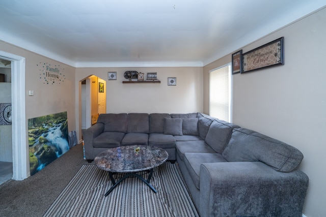 living room featuring carpet flooring