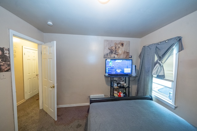 bedroom featuring carpet