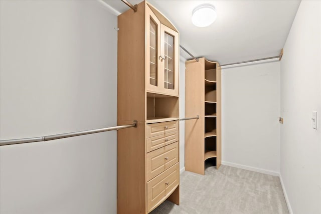 spacious closet featuring light colored carpet