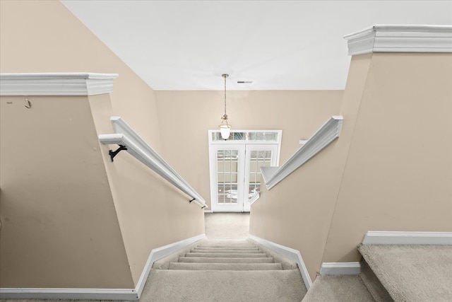 staircase featuring carpet flooring