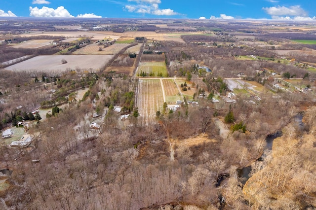 drone / aerial view featuring a rural view