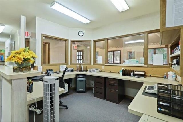 carpeted office with built in desk