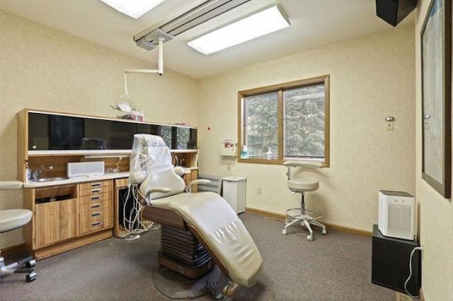 interior space with sink and dark carpet