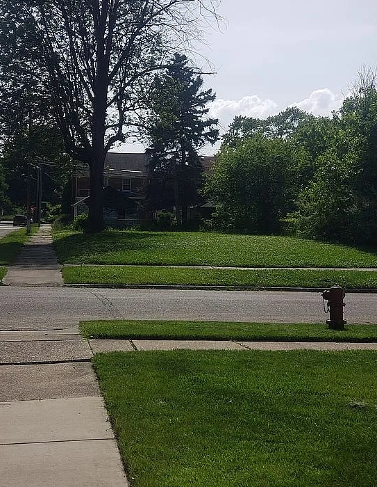 3605 Balfour Rd, Detroit MI, 48224 land for sale