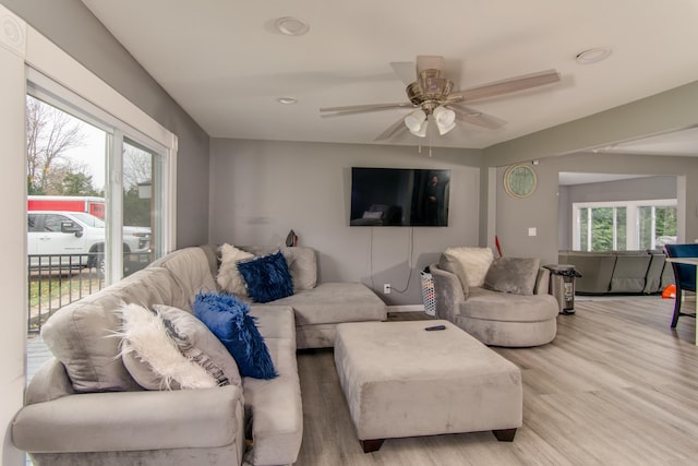 living room featuring ceiling fan and light wood-type flooring