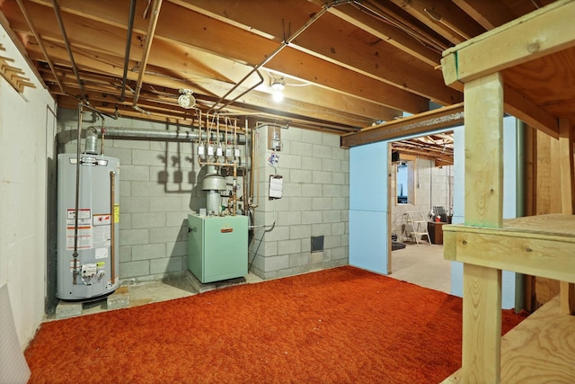 basement featuring gas water heater