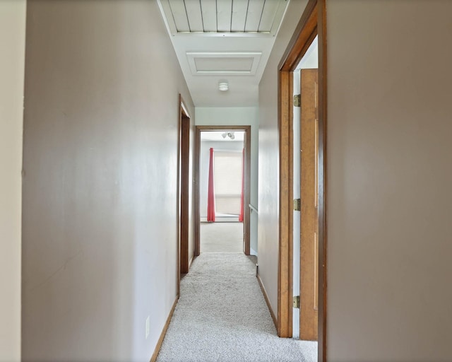 hallway featuring light carpet