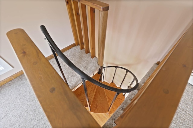 interior details featuring carpet floors