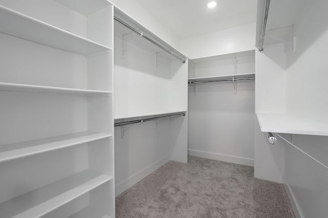 spacious closet featuring light carpet