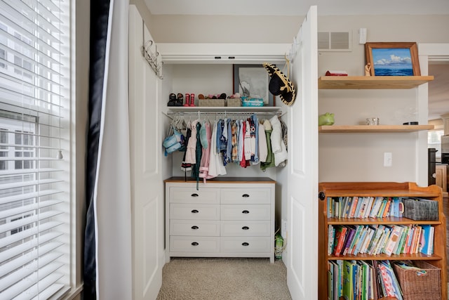 view of closet