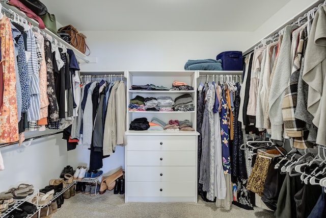 walk in closet featuring carpet floors