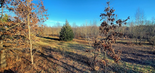 view of landscape